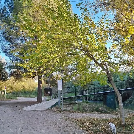 Buenavista * Pedralba